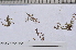  ( - PHYKOS-4584)  @11 [ ] Copyright (2012) Brian Wysor Roger Williams University