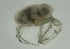  ( - MARB_UIB_1065)  @11 [ ] copyright (2023) Bergen Museum Bergen Museum