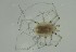  ( - MARB_UIB_1221)  @11 [ ] copyright (2021) Bergen Museum Bergen Museum