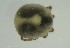  ( - MARB_UIB_1256)  @11 [ ] copyright (2021) Bergen Museum Bergen Museum
