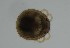  ( - MARB_UIB_615)  @11 [ ] copyright (2023) Bergen Museum Bergen Museum