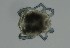  ( - MARB_UIB_680)  @11 [ ] copyright (2023) Bergen Museum Bergen Museum