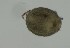  ( - MARB_UIB_721)  @11 [ ] copyright (2023) Bergen Museum Bergen Museum