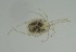  ( - MARB_UIB_793)  @11 [ ] copyright (2023) Bergen Museum Bergen Museum