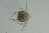  ( - MARB_UIB_820)  @11 [ ] copyright (2023) Bergen Museum Bergen Museum