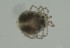  ( - MARB_UIB_929)  @11 [ ] copyright (2023) Bergen Museum Bergen Museum