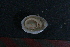  ( - M11HEL0170_G1)  @11 [ ] CreativeCommons - Attribution Non-Commercial Share-Alike (2011) Unspecified Marbank