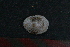  ( - M11HEL0170_G1)  @11 [ ] CreativeCommons - Attribution Non-Commercial Share-Alike (2011) Unspecified Marbank