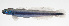  ( - MARQ-004)  @11 [ ] CreativeCommons  Attribution Non-Commercial (by-nc) (2011) Unspecified Smithsonian Institution National Museum of Natural History