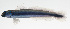  ( - MARQ-005)  @11 [ ] CreativeCommons  Attribution Non-Commercial (by-nc) (2011) Unspecified Smithsonian Institution National Museum of Natural History