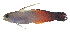  ( - MARQ-006)  @11 [ ] CreativeCommons  Attribution Non-Commercial (by-nc) (2011) Unspecified Smithsonian Institution National Museum of Natural History