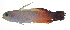  ( - MARQ-007)  @11 [ ] CreativeCommons  Attribution Non-Commercial (by-nc) (2011) Unspecified Smithsonian Institution National Museum of Natural History