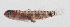  ( - MARQ-015)  @11 [ ] CreativeCommons  Attribution Non-Commercial (by-nc) (2011) Unspecified Smithsonian Institution National Museum of Natural History