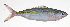  ( - MARQ-062)  @11 [ ] CreativeCommons  Attribution Non-Commercial (by-nc) (2011) Unspecified Smithsonian Institution National Museum of Natural History