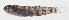  ( - MARQ-081)  @11 [ ] CreativeCommons  Attribution Non-Commercial (by-nc) (2011) Unspecified Smithsonian Institution National Museum of Natural History