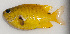  ( - MARQ-137)  @11 [ ] CreativeCommons  Attribution Non-Commercial (by-nc) (2011) Unspecified Smithsonian Institution National Museum of Natural History