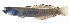  ( - MARQ-176)  @11 [ ] CreativeCommons  Attribution Non-Commercial (by-nc) (2011) Unspecified Smithsonian Institution National Museum of Natural History