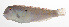  ( - MARQ-306)  @11 [ ] CreativeCommons  Attribution Non-Commercial (by-nc) (2011) Unspecified Smithsonian Institution National Museum of Natural History