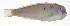  ( - MARQ-310)  @11 [ ] CreativeCommons  Attribution Non-Commercial (by-nc) (2011) Unspecified Smithsonian Institution National Museum of Natural History