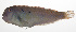  ( - MARQ-319)  @11 [ ] CreativeCommons  Attribution Non-Commercial (by-nc) (2011) Unspecified Smithsonian Institution National Museum of Natural History