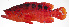  ( - MARQ-367)  @11 [ ] CreativeCommons  Attribution Non-Commercial (by-nc) (2011) Unspecified Smithsonian Institution National Museum of Natural History