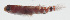  ( - MARQ-449)  @11 [ ] CreativeCommons  Attribution Non-Commercial (by-nc) (2011) Unspecified Smithsonian Institution National Museum of Natural History