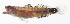  ( - MARQ-473)  @11 [ ] CreativeCommons  Attribution Non-Commercial (by-nc) (2011) Unspecified Smithsonian Institution National Museum of Natural History