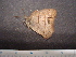  ( - MASB-0010)  @12 [ ] Unspecified (default): All Rights Reserved  Blanca Prado Unspecified