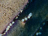  ( - RMNH.COEL.42444)  @11 [ ] CreativeCommons - Attribution Non-Commercial Share-Alike (2015) Unspecified Naturalis Biodiversity Center