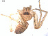  ( - NIBGE SPD-00032)  @12 [ ] Copyright  G. Blagoev 2010 Unspecified