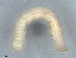  (ereMalaise01 Malaise4841 - BIOUG73618-E12)  @11 [ ] CreativeCommons - Attribution (2022) CBG Photography Group Centre for Biodiversity Genomics