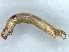  ( - BIOUG73619-H09)  @11 [ ] CreativeCommons - Attribution (2022) CBG Photography Group Centre for Biodiversity Genomics