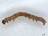  ( - BIOUG73620-B04)  @12 [ ] CreativeCommons - Attribution (2022) CBG Photography Group Centre for Biodiversity Genomics