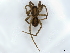  ( - BIOUG73632-C03)  @11 [ ] CreativeCommons - Attribution (2022) CBG Photography Group Centre for Biodiversity Genomics