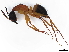  ( - BIOUG73632-C08)  @11 [ ] CreativeCommons - Attribution (2022) CBG Photography Group Centre for Biodiversity Genomics