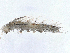  ( - BIOUG97742-G05)  @11 [ ] CreativeCommons - Attribution (2023) CBG Photography Group Centre for Biodiversity Genomics