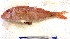  ( - Mau24-34)  @11 [ ] copyright © (2024) Nene Galle Kide Institut Superieur des Sciences de la Mer