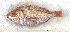  ( - Mau24-91)  @11 [ ] copyright © (2024) Nene Galle Kide Institut Superieur des Sciences de la Mer