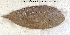  ( - Mau24-93)  @11 [ ] copyright © (2024) Nene Galle Kide Institut Superieur des Sciences de la Mer