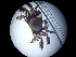  ( - MBA-230320-004D)  @11 [ ] Marine Biological Association (2023) Marine Biological Association Marine Biological Association