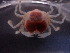  ( - MBA-230320-004E)  @11 [ ] Marine Biological Association (2023) Marine Biological Association Marine Biological Association