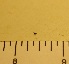  ( - SV-M-9)  @11 [ ] CreativeCommons  Attribution Non-Commercial Share-Alike (2021) Silicon Valley Barcode of Life Silicon Valley Barcode of Life