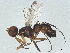  ( - SV-P-480)  @11 [ ] CreativeCommons - Attribution (2022) CBG Photography Group Centre for Biodiversity Genomics