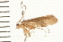  ( - 08MBCAD-0108)  @13 [ ] CreativeCommons - Attribution (2008) Unspecified Centre for Biodiversity Genomics