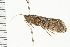  ( - 08MBCAD-0146)  @13 [ ] CreativeCommons - Attribution (2008) Unspecified Centre for Biodiversity Genomics