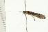  ( - 08MBCAD-0010)  @13 [ ] CreativeCommons - Attribution (2008) Unspecified Centre for Biodiversity Genomics