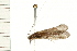  ( - 08MBCAD-0042)  @13 [ ] CreativeCommons - Attribution (2008) Unspecified Centre for Biodiversity Genomics