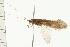  ( - 08MBCAD-0049)  @13 [ ] CreativeCommons - Attribution (2008) Unspecified Centre for Biodiversity Genomics