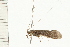  ( - 08MBCAD-0063)  @13 [ ] CreativeCommons - Attribution (2008) Unspecified Centre for Biodiversity Genomics
