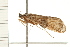  ( - 08MBCAD-0284)  @15 [ ] CreativeCommons - Attribution (2008) Unspecified Centre for Biodiversity Genomics